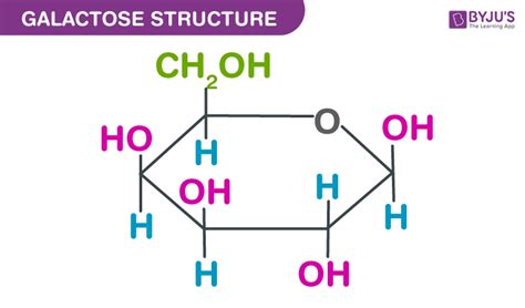 Galactose Formula - Definition, Formula, Structure And Properties