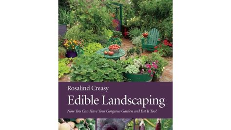 Top 5 Best DIY Landscaping Books