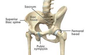 Hip Pain Treatment Sydney | Hip Injury | Hip Specialist Sydney