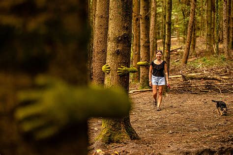 The Forest of Dean Sculpture Trail | Monsieur Plant