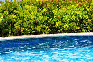 St Regis Bahia Beach resort pool | Dale Cruse | Flickr