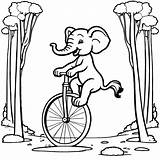 Elephant On A unicycle coloring Page Lulu Pages sketch template
