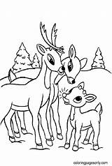 Rudolph Reindeer With Family Coloring Page  Free Printable Pages sketch template