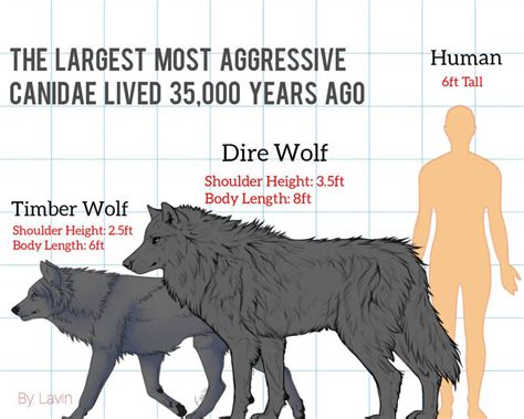 A new Ice Age carnivore has been discovered in Ohio