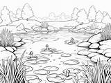 Relaxing Pond Coloring Sheets  Page sketch template