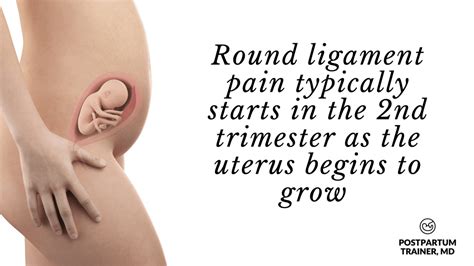 Round Ligament Stretching [What to Do When You Have Pain] - Postpartum ...