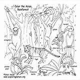 Ocean Animal Habitat Coloring Pages Coloring Pages sketch template