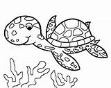 Image Of turtle To Download And color  Turtles Kids Coloring Pages sketch template