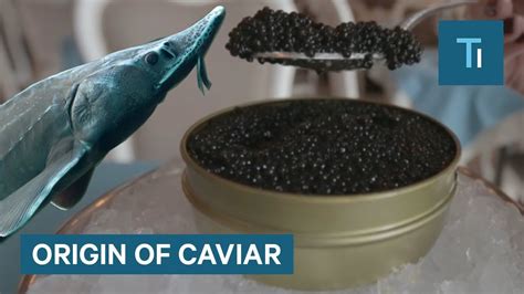 Caviar Fish Eggs