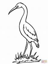 Free Storks Coloring Pages Download Png  sketch template