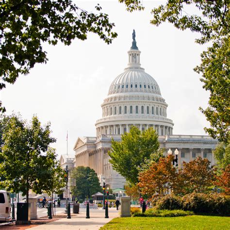 Advocacy vs. Lobbying: Understanding the Difference | LobbyIt.com