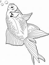 Goldfish Coloring Page At GetColoringscom  Free printable Colorings sketch template