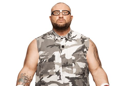 Bubba Ray Dudley / Bully Ray: Profile, Career Stats, Face/Heel Turns ...