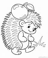 Coloring Pages Of A Hedgehog sketch template