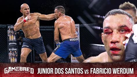 JUNIOR DOS SANTOS DEFEATS FABRICIO WERDUM BY SPLIT DECISION IN JACKSONVILLE, FLORIDA - VIDEO ...