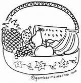 Gambar Mewarnai Buah Buahan Segar  Fruit coloring Pages Coloring sketch template