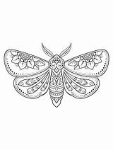 Printable Moth Coloring Pages Free For Kids And Adults sketch template