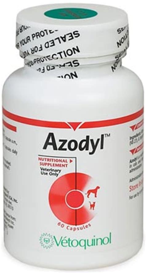 Azodyl for Cats | Best Probiotics Info