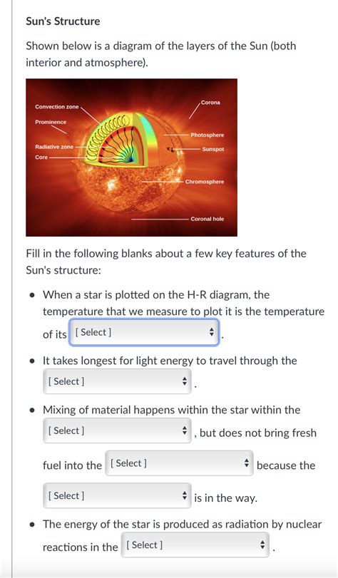 Solved Sun's Structure Shown below is a diagram of the | Chegg.com