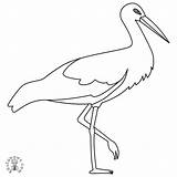 Bocian Kolorowanka Cegonha Desenho Stork Druku Pintarcolorir Jedzenia  sketch template