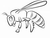 Bee Coloring Page Printable sketch template