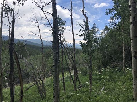 Panorama Point Trail - Colorado | AllTrails