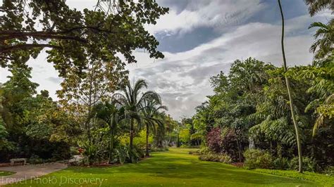 Visiting Miami - Miami Beach Botanical Garden