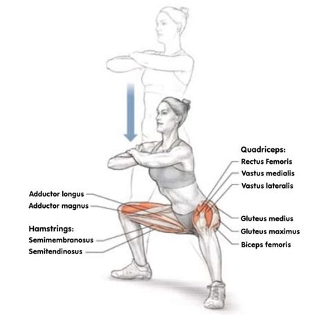 Wide Stance Squats Guide: Muscles Worked, How-To, Tips, and Variations – Fitness Volt
