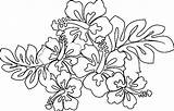 Tropical Coloring Pages To Print sketch template