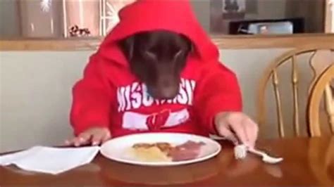 Funny Dogs Video: Wearing a Hoodie like a Man the dog looks funny - YouTube