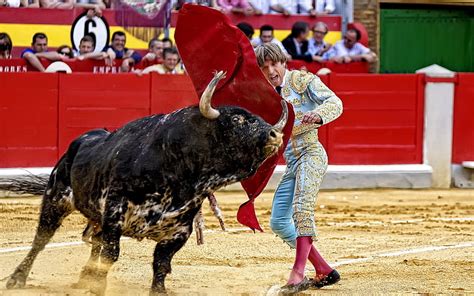HD wallpaper: Bullfighter, Bull, Spain | Wallpaper Flare