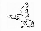 Flying Bird Coloring Pages For Kids sketch template