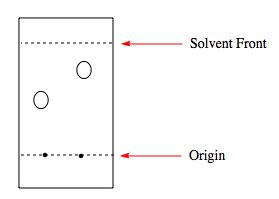 In chromatography what does the term solvent front mean? | Study.com