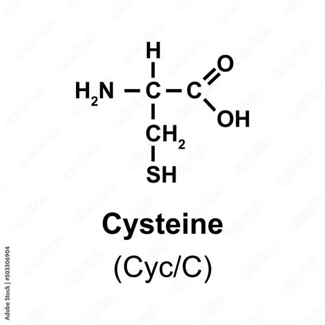 cysteine Amino Acid Chemical Structure. Vector Illustration. Stock ...