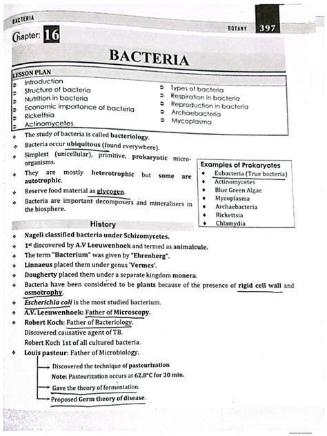 Bacteria | PDF
