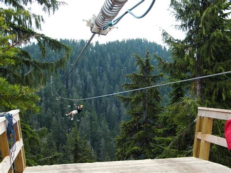 Ziplining on Grouse Mountain » Vancouver Blog Miss604