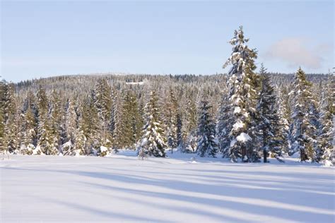 Fresh Snow in the Mountains Stock Photo - Image of outdoor, frost: 11823496