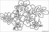 Hawaiian Flower Coloring Page  Free Printable Pages sketch template