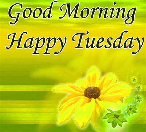 awesome Good morning and happy Tuesday wishes with yellow flowers and ...