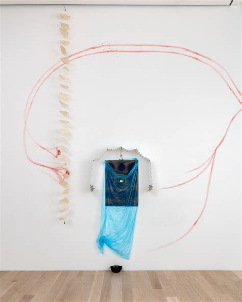 Senga Nengudi - Institute of Contemporary Art, Miami