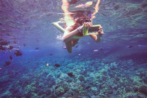 The Best Beaches For Snorkeling In Maui