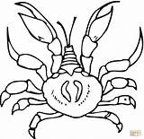 Crab coloring page  Free Printable Coloring Pages sketch template