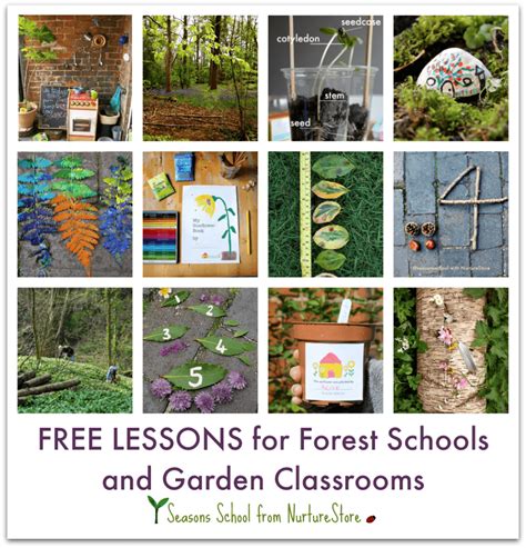 Forest school activities for outdoor classrooms - NurtureStore