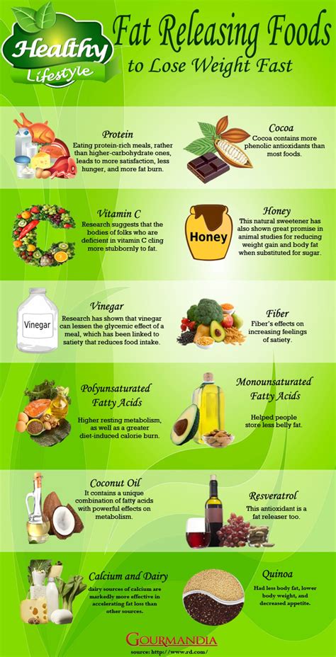 Infographic: Fat Releasing Foods to Help Lose Weight | ecoNugenics Blog