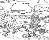 Coloring Pages Of Water Animals & coloring Book 6000  sketch template