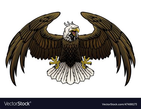 Flying angry bald eagle Royalty Free Vector Image