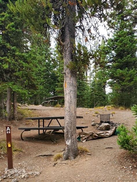 Lewis Lake Campground - Yellowstone National Park | Park Ranger John