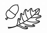 Coloring Page Acorn And Leaf  Free Printables Img 18523 sketch template