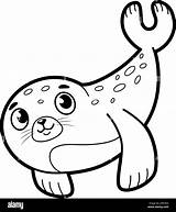 Seal Coloring Pages sketch template