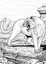 Cougar Coloring Pages For Wildlife Education sketch template